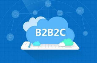 惠云聯盟開發(fā)b2b2c多用戶商城系統(tǒng)的好處在哪里