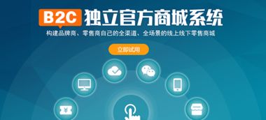武漢金百瑞科技 專注武漢高端網站建設設計十三載
