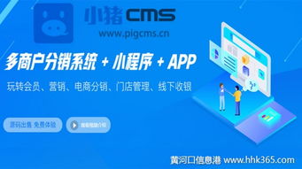 專業靠譜的b2b2c多用戶電商系統是什么樣的