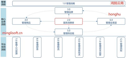 一 基于數字化轉型構建以消費者為中心的全渠道一體化價值鏈體系 java版spring cloud springboot mybatis uniapp b2b2c 多商戶入駐商城 直播 電子商務