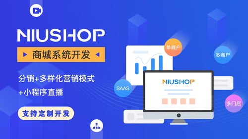 b2b2c多商戶商城系統應該從哪些優化呢