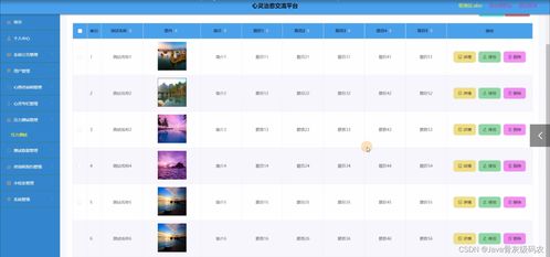 畢業設計 基于springboot vue的心靈治愈交流平臺的設計與實現 源碼 lw 包運行