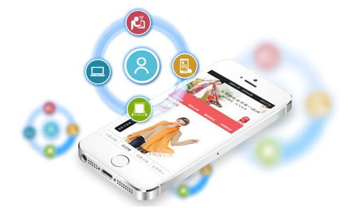 b2b2c網(wǎng)上商城開發(fā)指南 從需求 流程 價格來聊聊